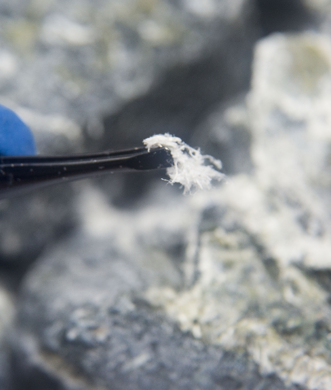 Professional safely removing asbestos fibres from commercial building in Mansfield