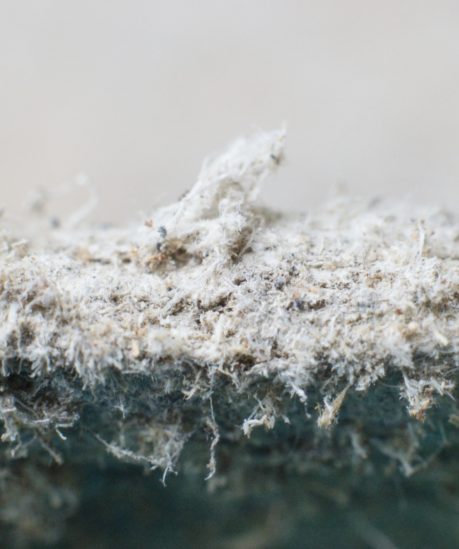 Detailed close-up of asbestos-containing material in Mansfield commercial property